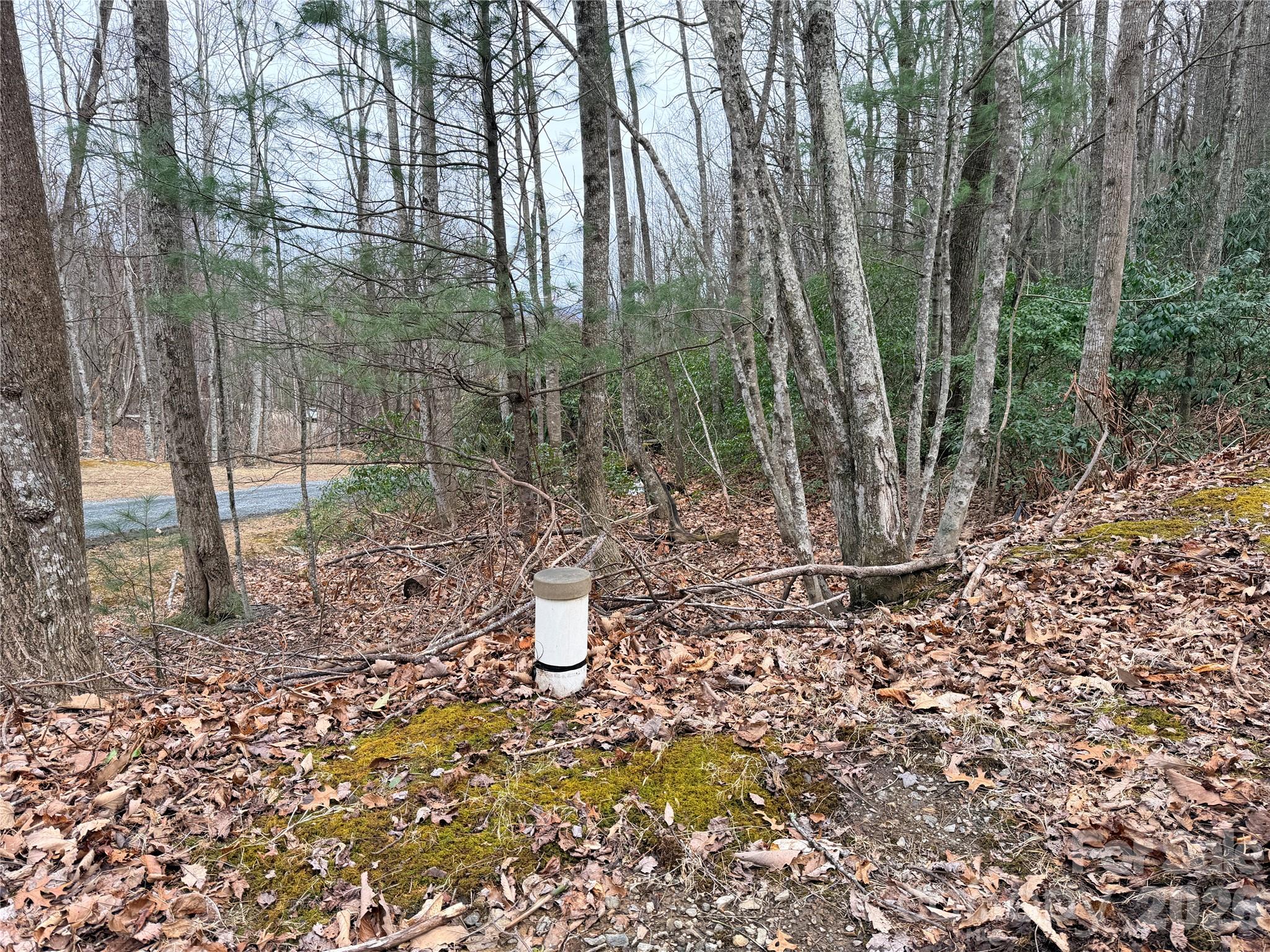 Tbd (lot 19) Wolf Den Lane 19 Property Photo 3