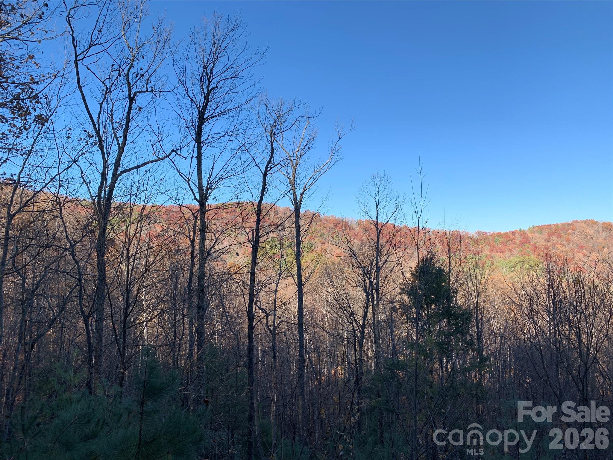 Tbd (lot 19) Wolf Den Lane 19 Property Photo 6
