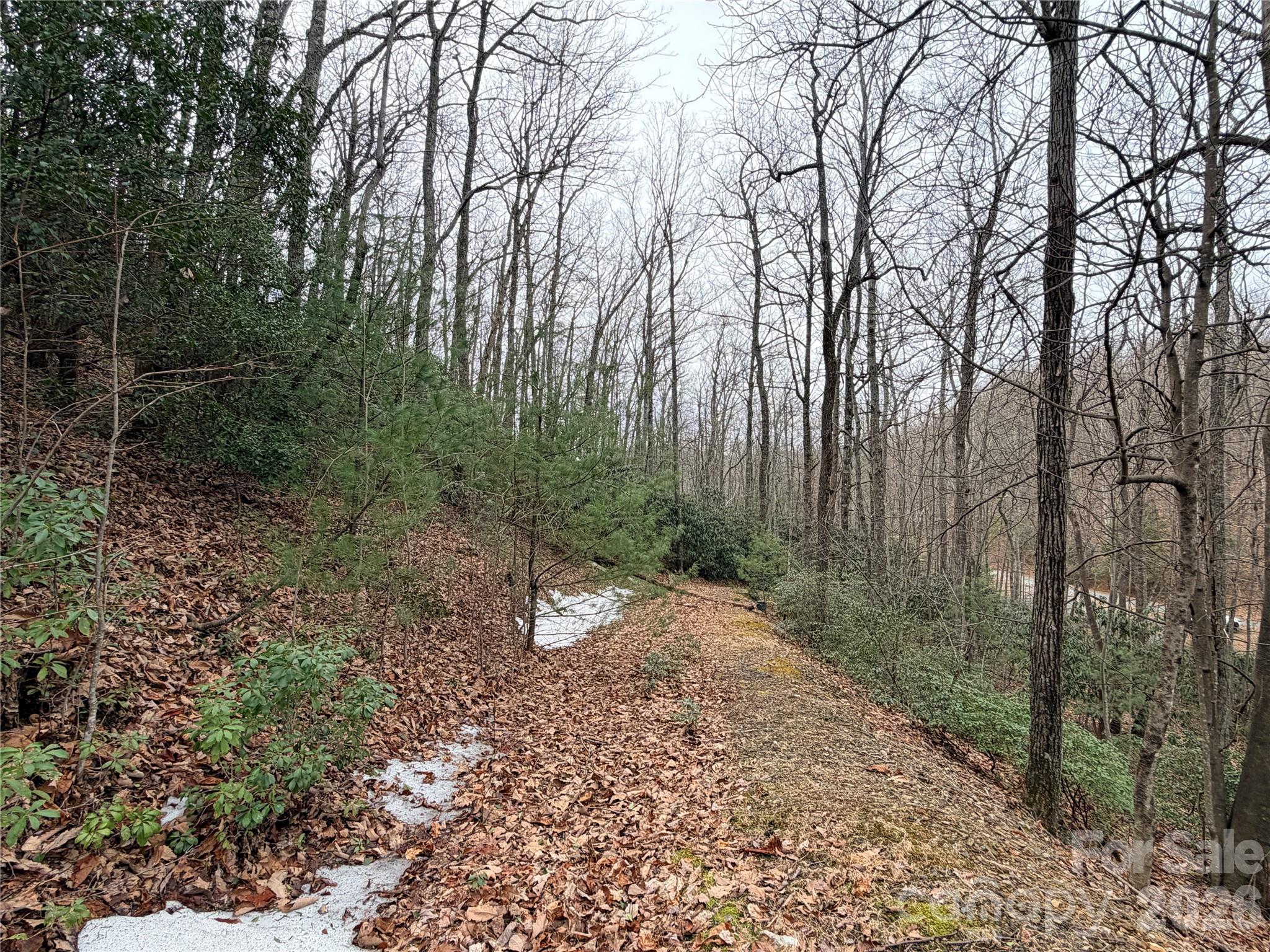 Tbd (lot 19) Wolf Den Lane 19 Property Photo 11