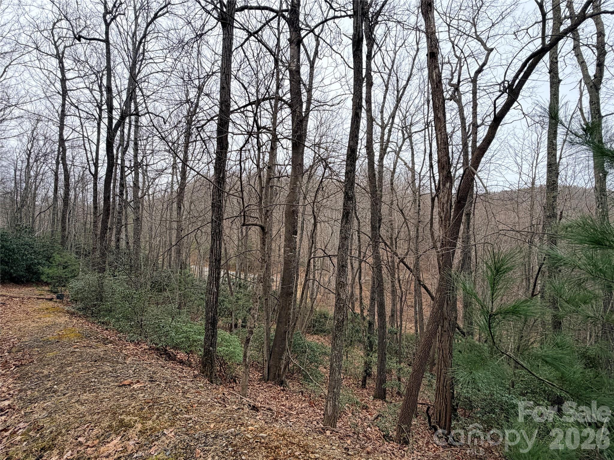 Tbd (lot 19) Wolf Den Lane 19 Property Photo 13