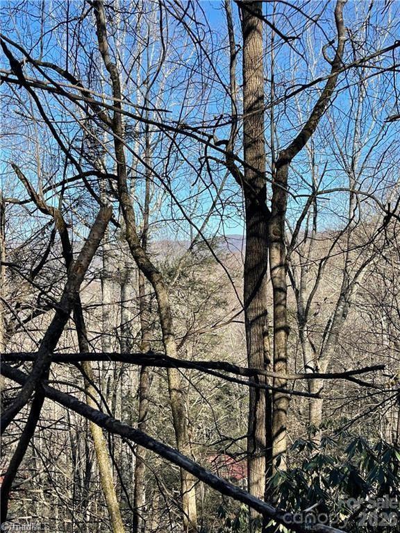 Lot E-15 Laurel Ridge Road Property Photo 2