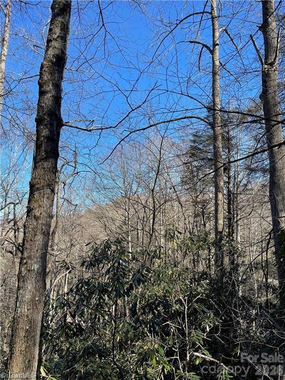 Lot E-15 Laurel Ridge Road Property Photo 4