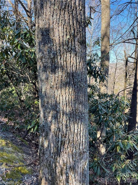 Lot E-15 Laurel Ridge Road Property Photo 5