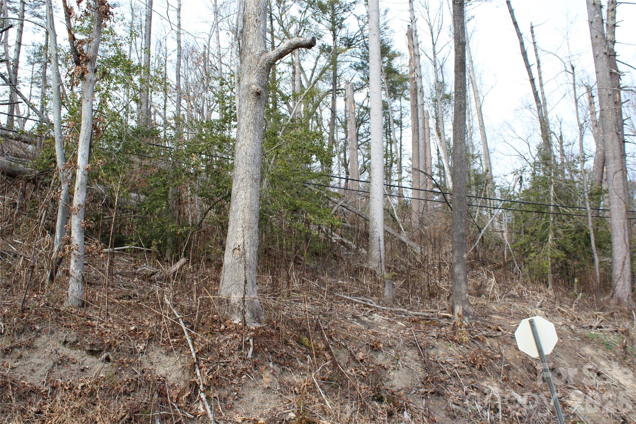 00 Monte Vista Circle Property Photo 18