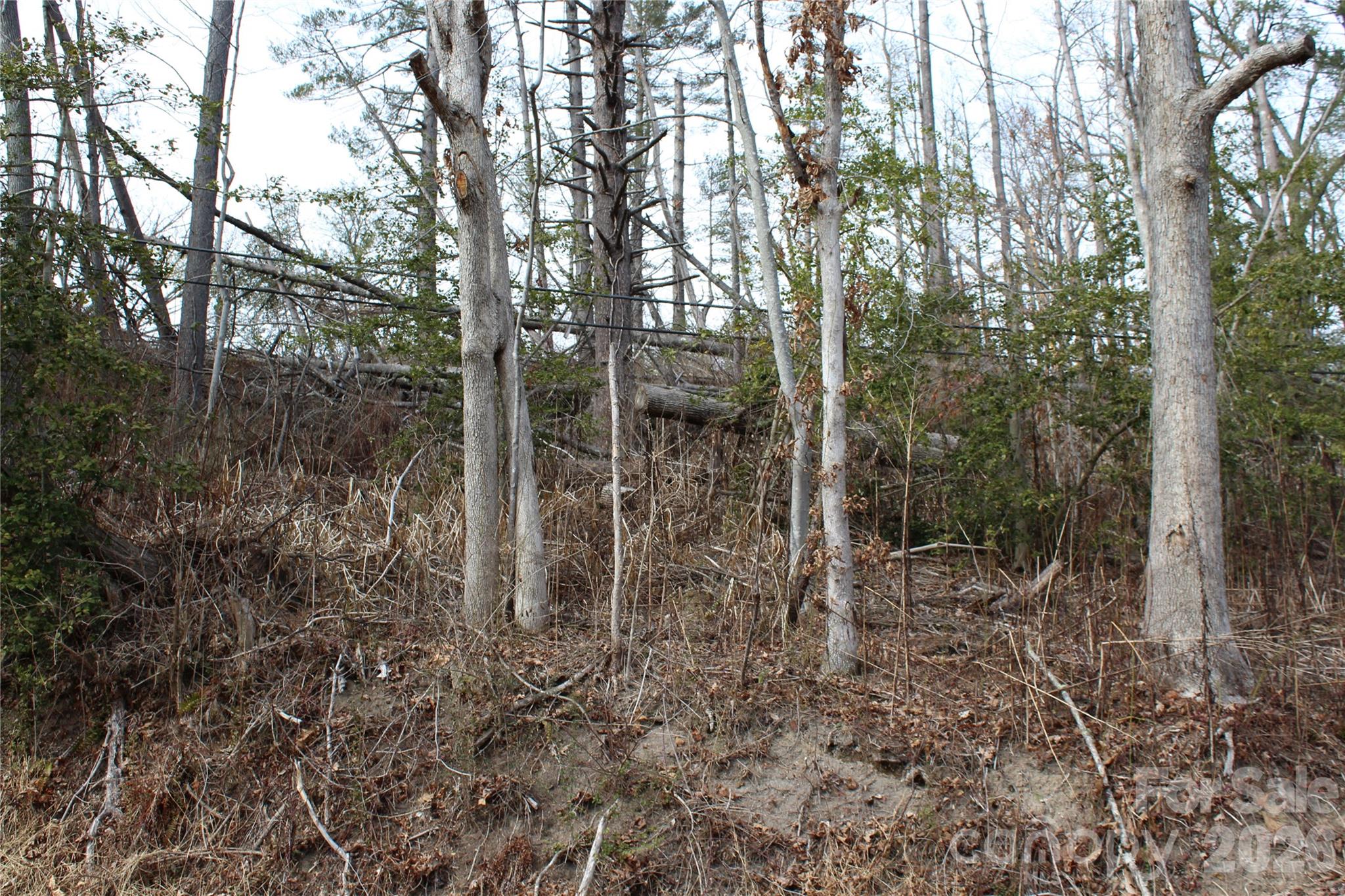 00 Monte Vista Circle Property Photo 19