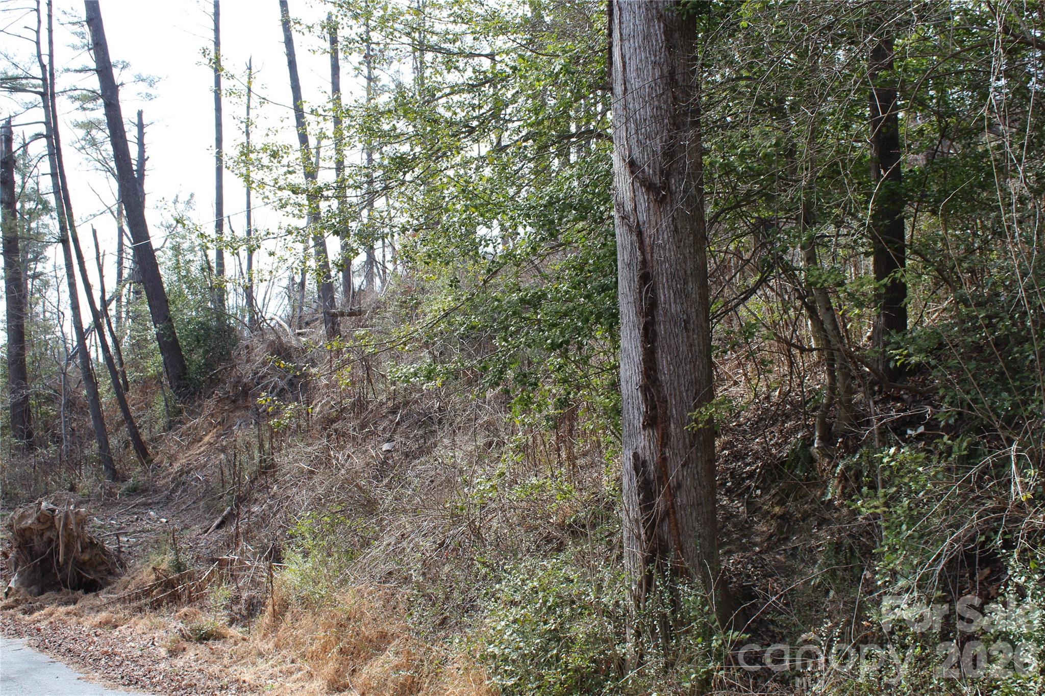 00 Monte Vista Circle Property Photo 23