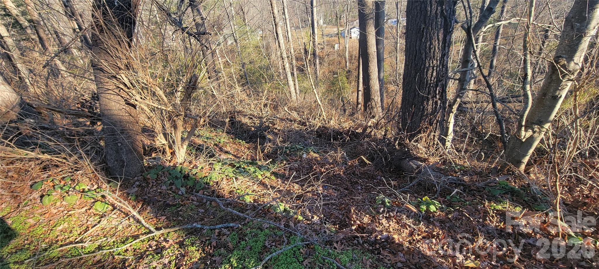 00 Monte Vista Circle Property Photo 30