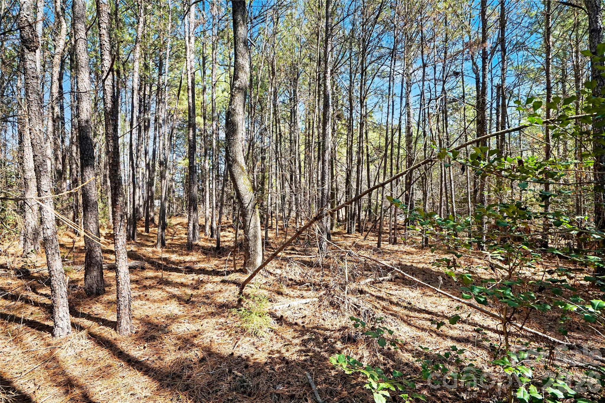 00 Three Crow Road D-2b Property Photo 10