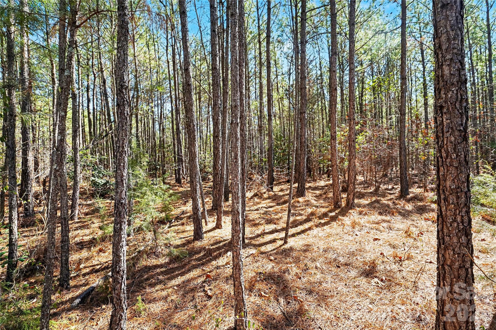 00 Three Crow Road D-2b Property Photo 11