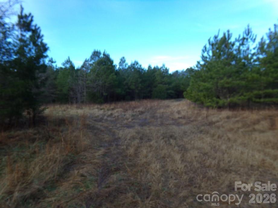 104 Ac Cedarhurst Road Property Photo 4