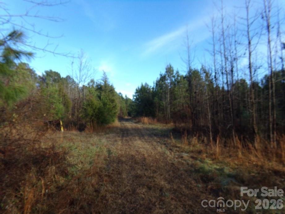104 Ac Cedarhurst Road Property Photo 5