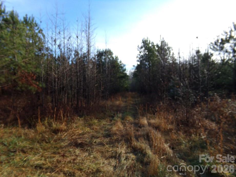 104 Ac Cedarhurst Road Property Photo 6