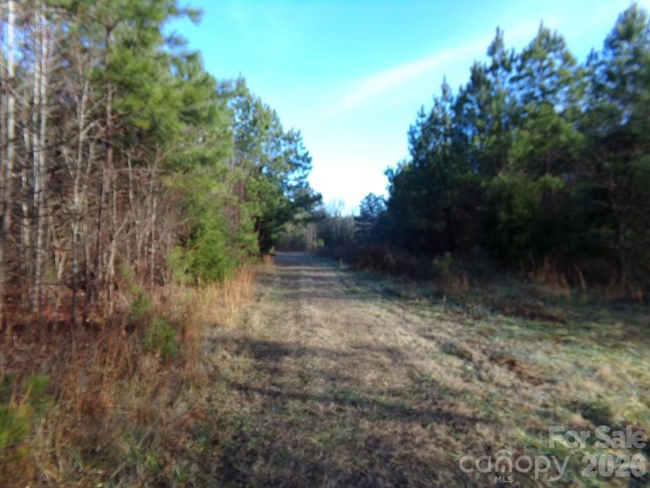 104 Ac Cedarhurst Road Property Photo 7