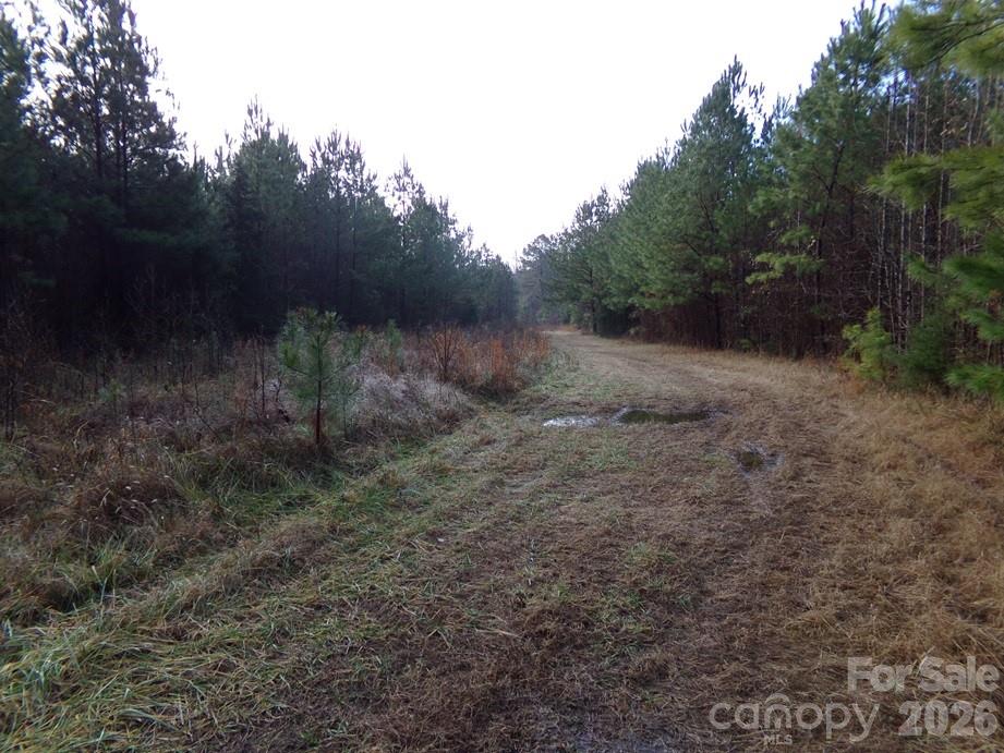 104 Ac Cedarhurst Road Property Photo 9