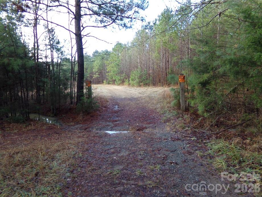 104 Ac Cedarhurst Road Property Photo 11