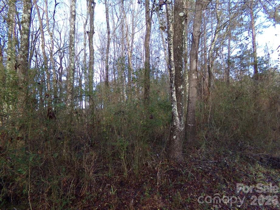 104 Ac Cedarhurst Road Property Photo 15