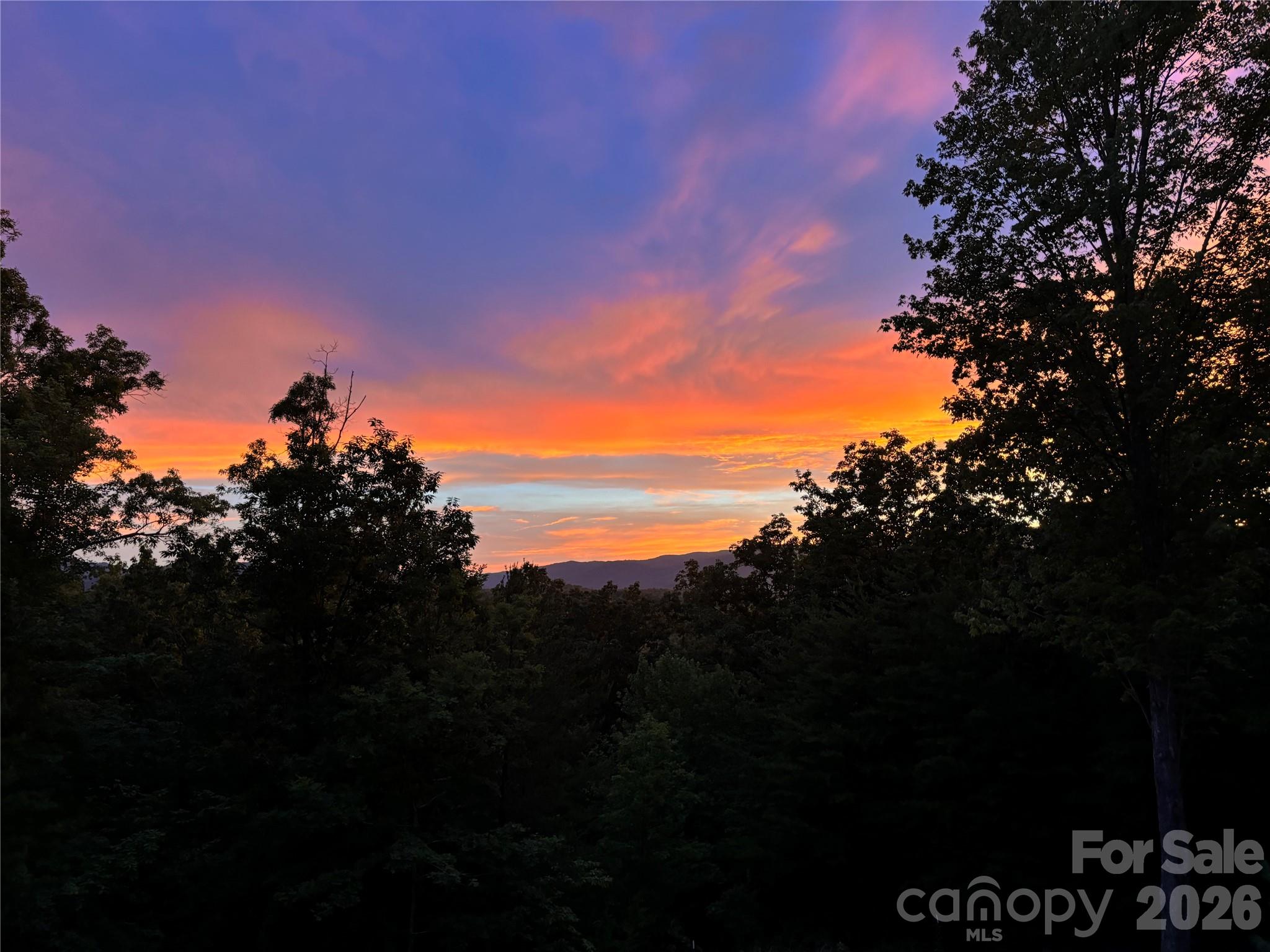 631 Mountain Parkway Property Photo 40