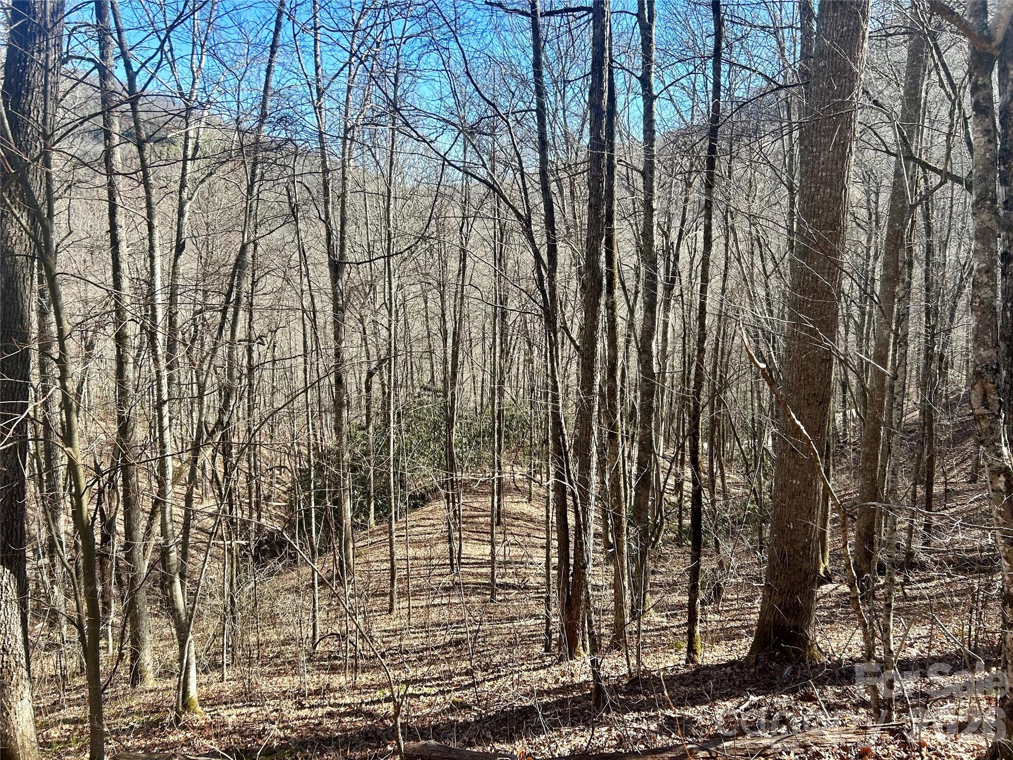 0 Deep Gap View 51&52&53 Property Photo 1
