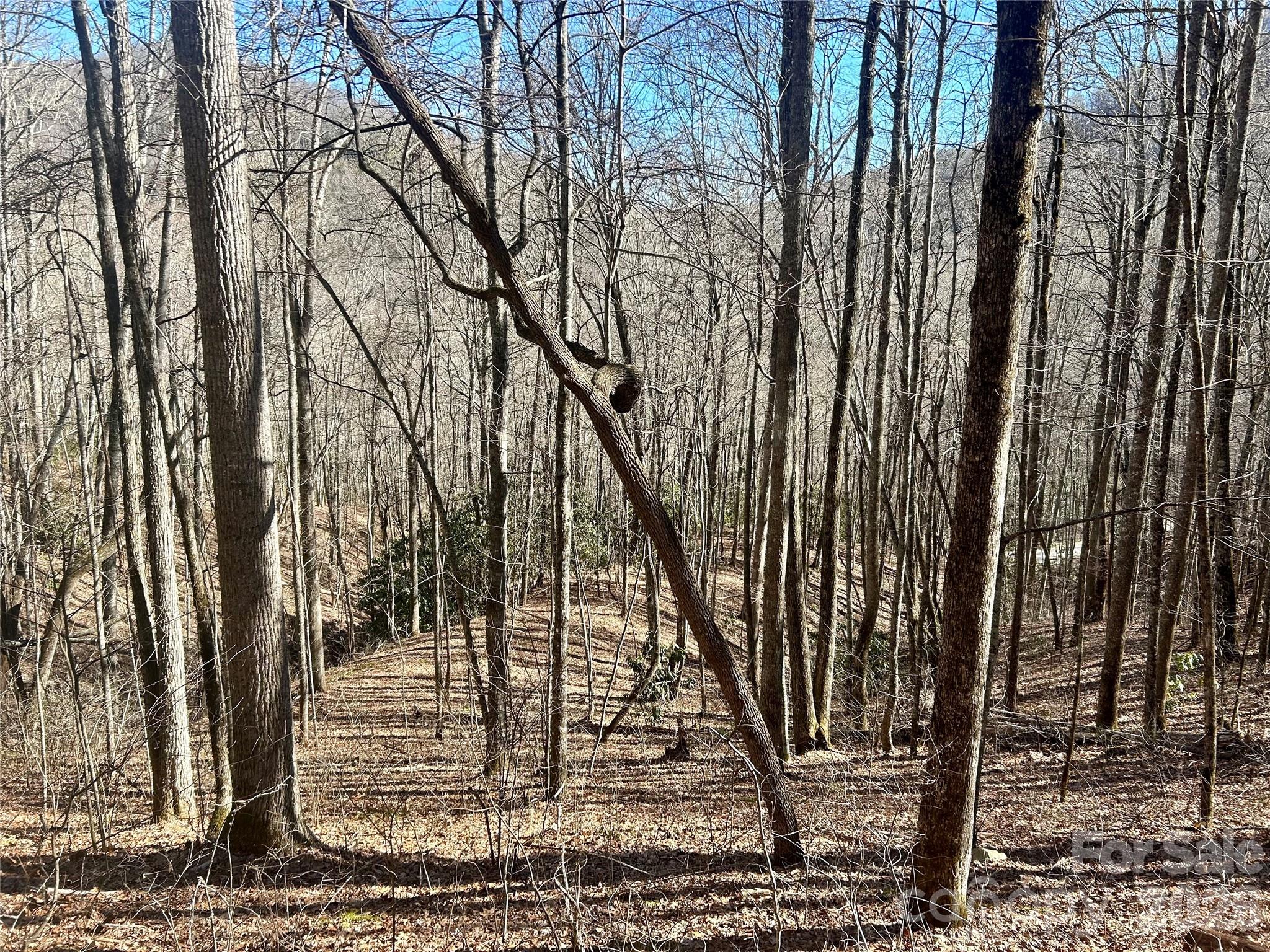 0 Deep Gap View 51&52&53 Property Photo 3