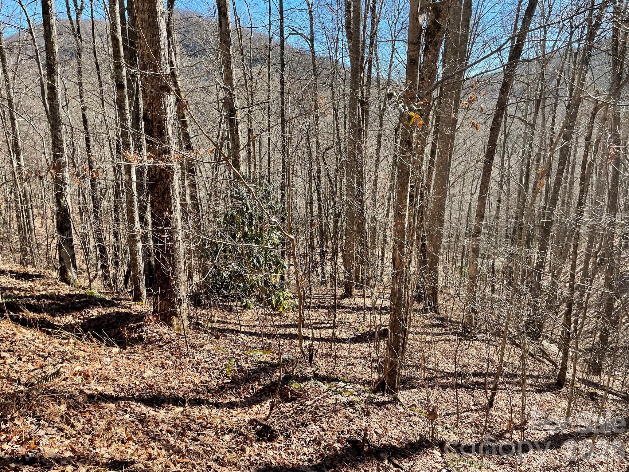 0 Deep Gap View 51&52&53 Property Photo 4