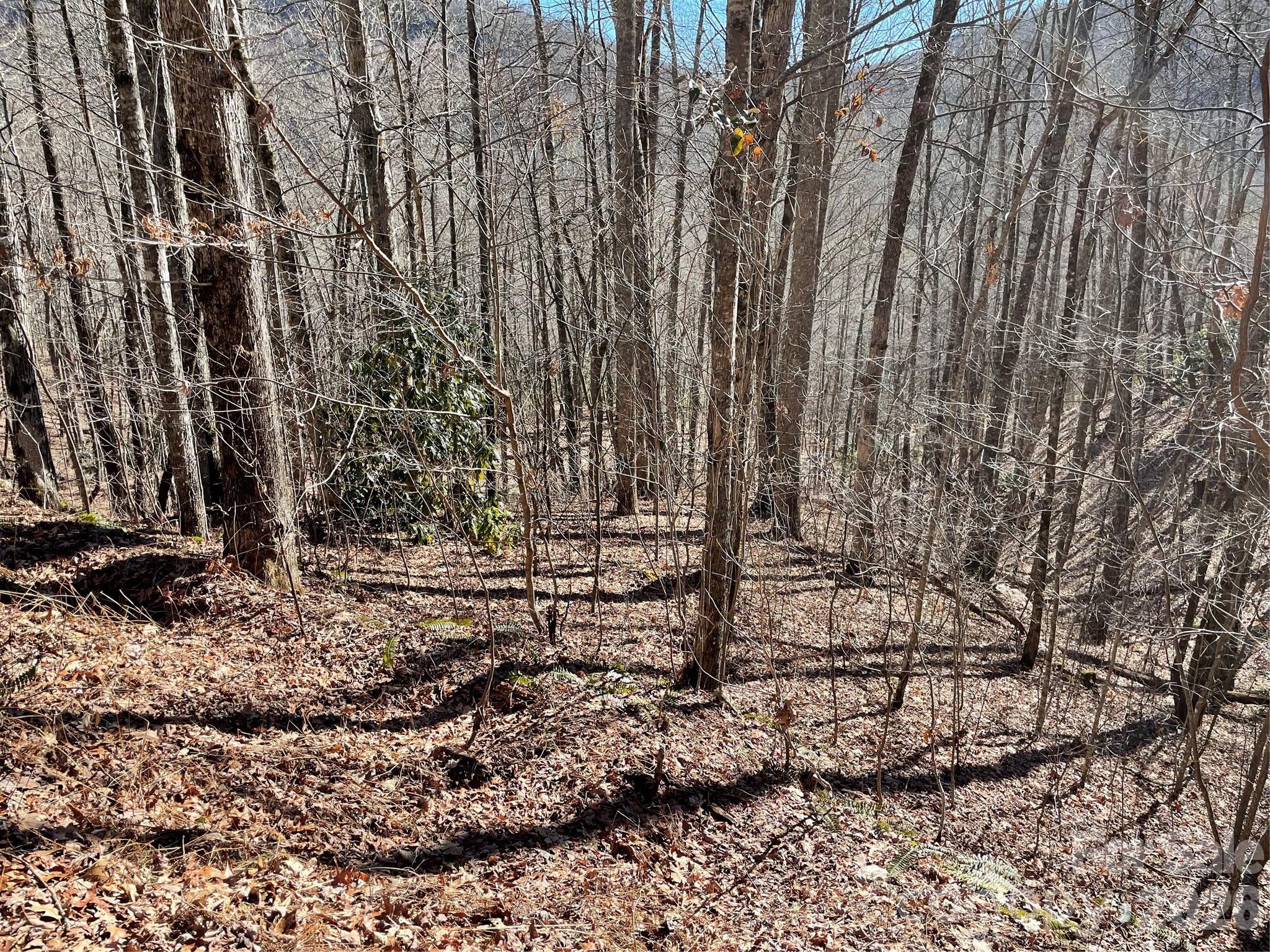 0 Deep Gap View 51&52&53 Property Photo 5