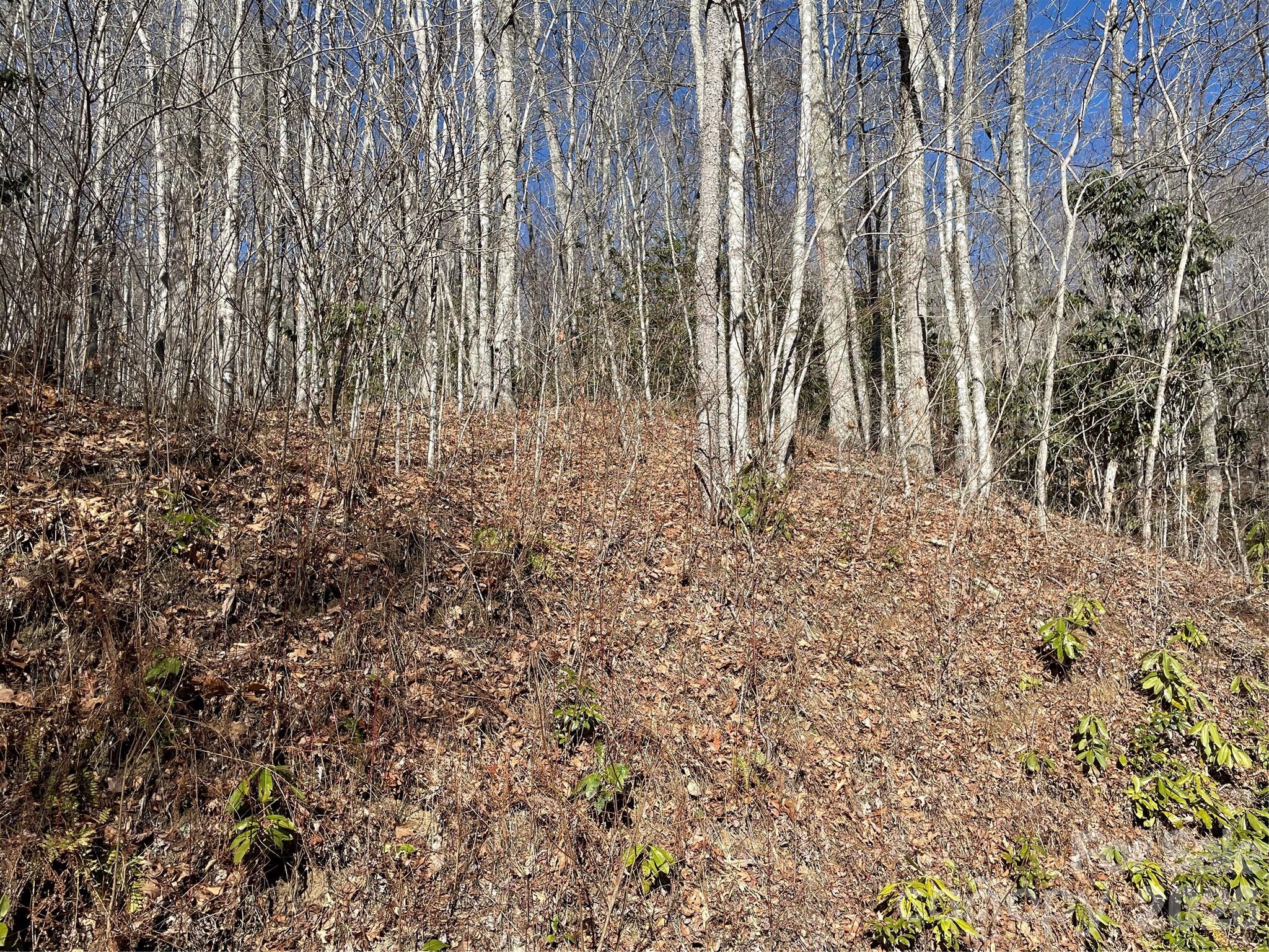 0 Deep Gap View 51&52&53 Property Photo 6