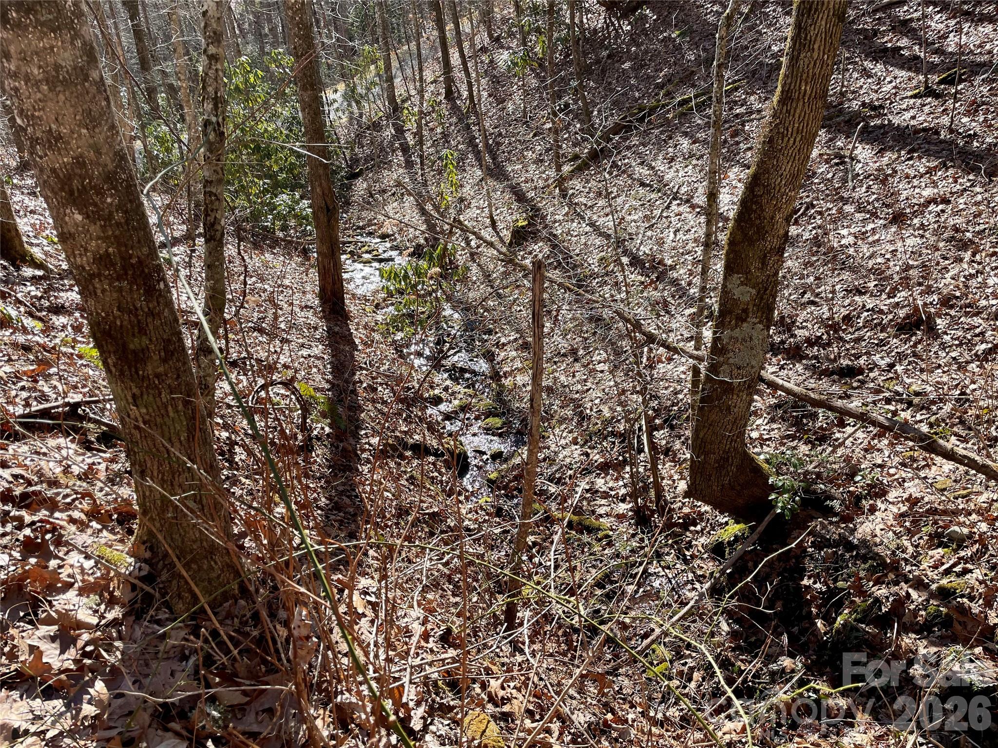 0 Deep Gap View 51&52&53 Property Photo 8