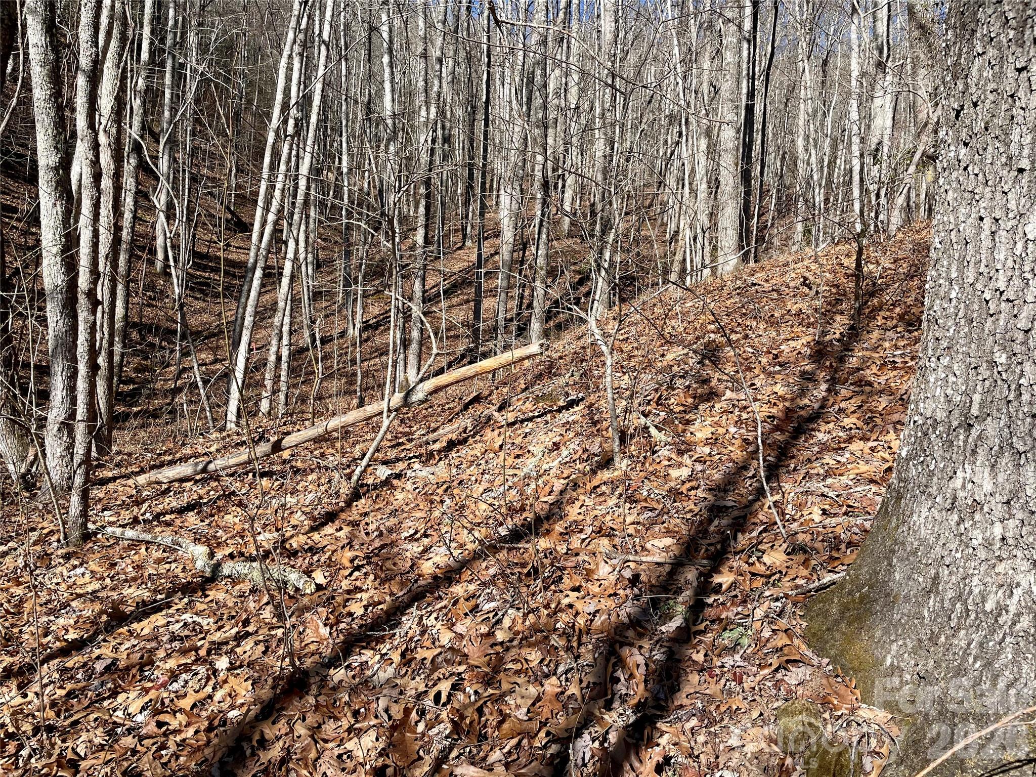 0 Deep Gap View 51&52&53 Property Photo 9