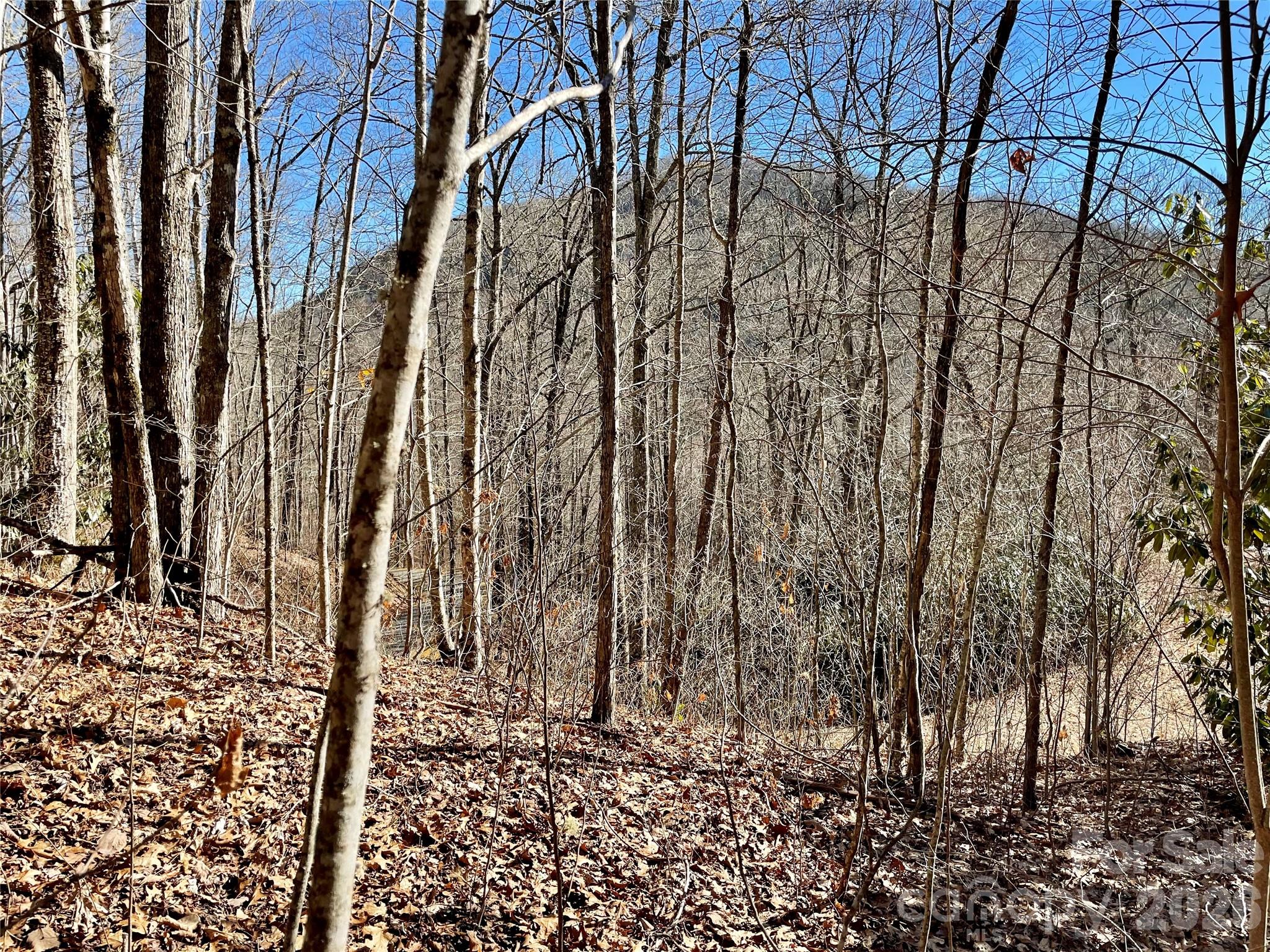 0 Deep Gap View 51&52&53 Property Photo 10