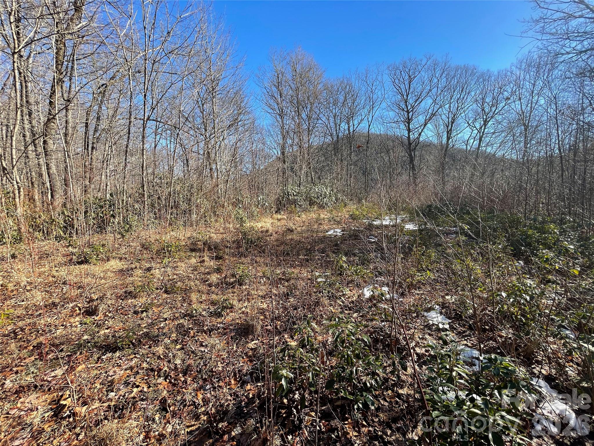 0 Deep Gap View 51&52&53 Property Photo 12