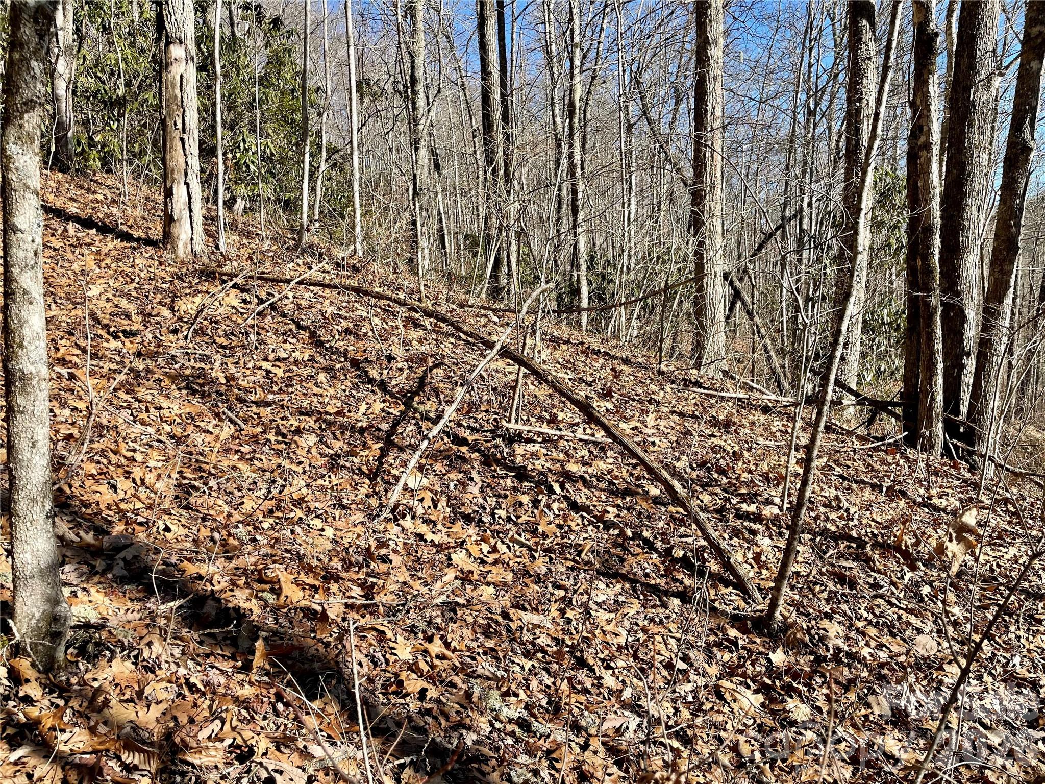 0 Deep Gap View 51&52&53 Property Photo 13
