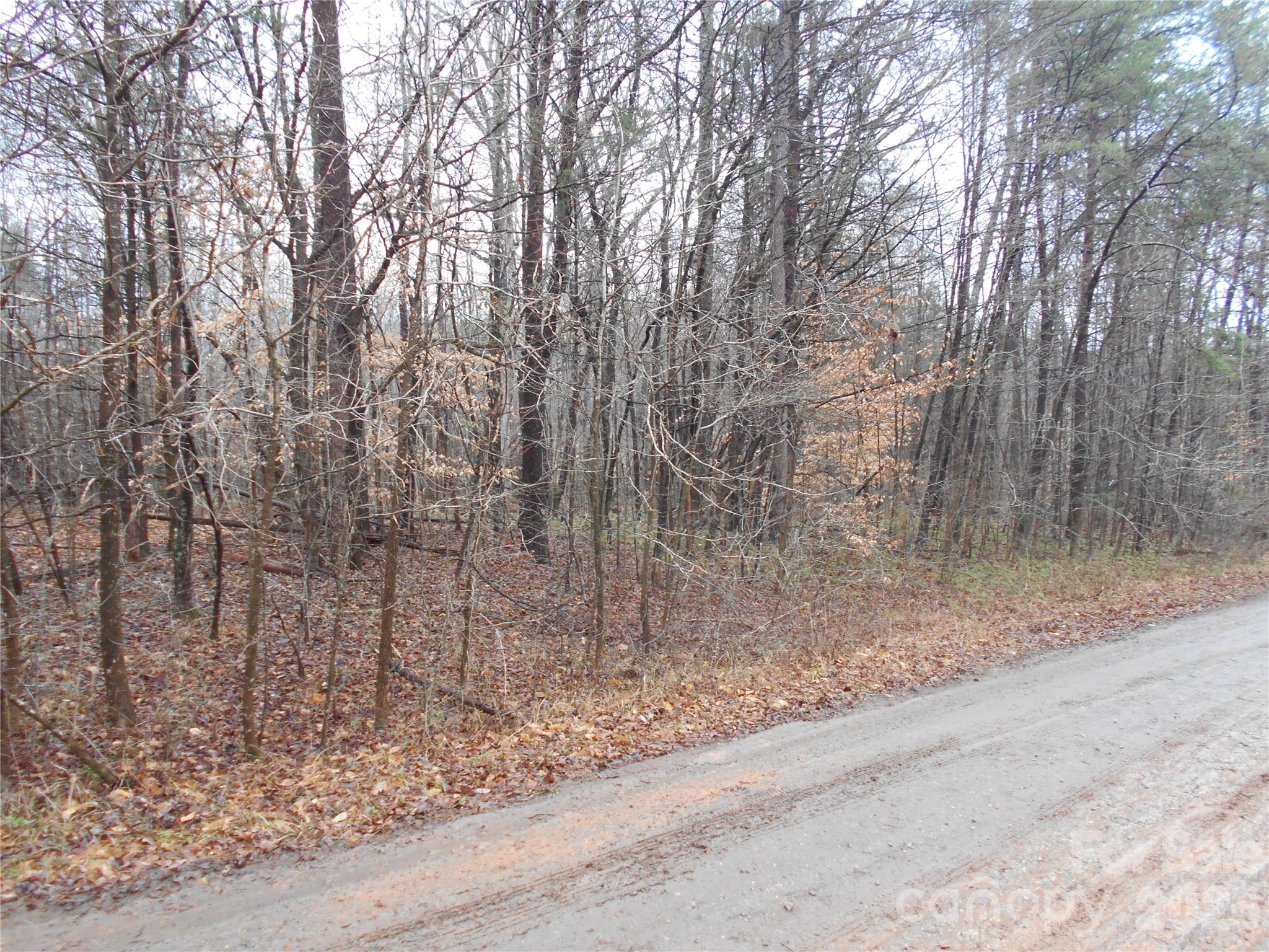 523 Turnersburg Highway Property Photo 5