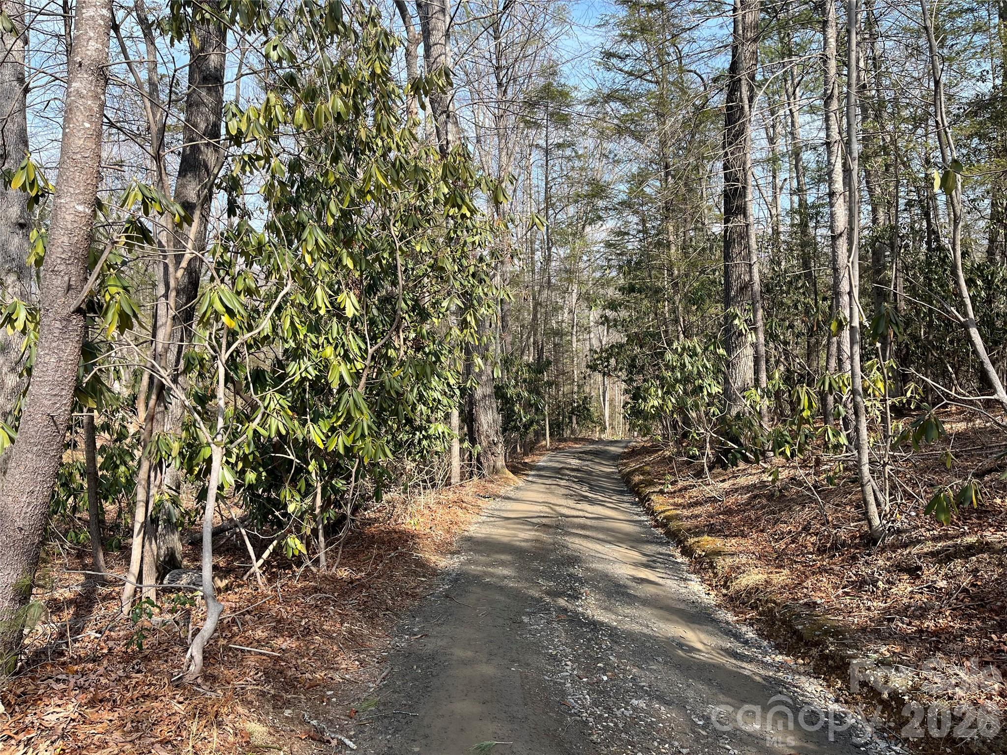 19 Laurel Loop Road Property Photo 8