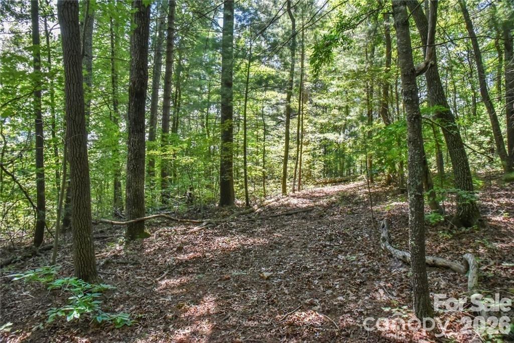 19 Laurel Loop Road Property Photo 13