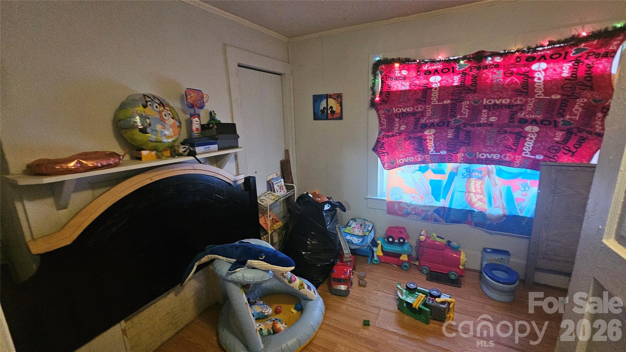 804 Isler Street Property Photo 9