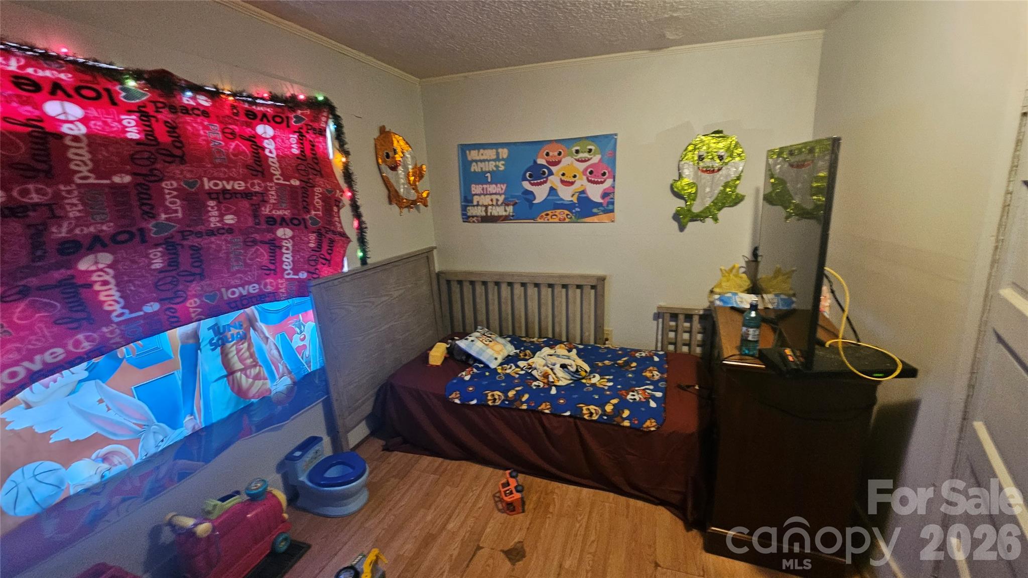 804 Isler Street Property Photo 10