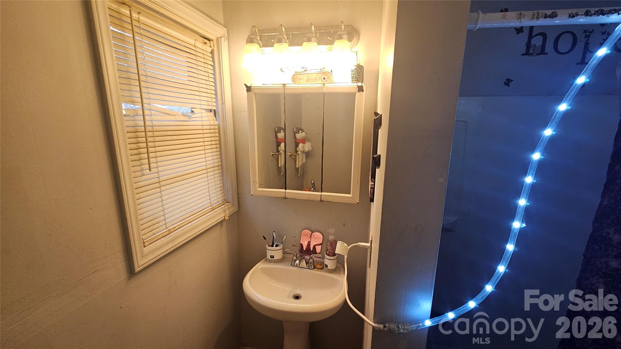 804 Isler Street Property Photo 14