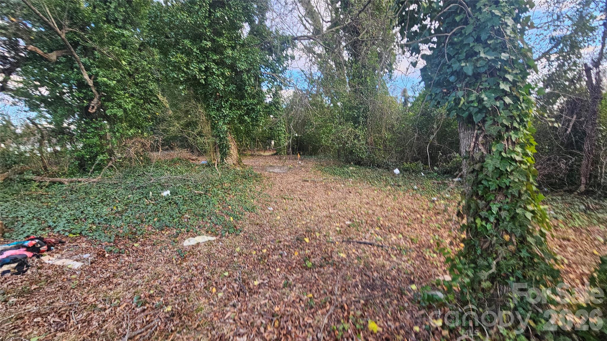 804 Isler Street Property Photo 17