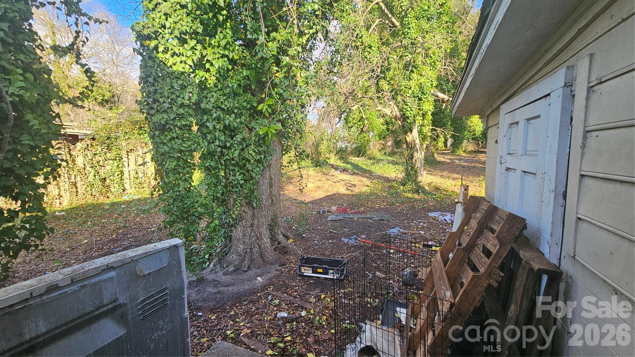 804 Isler Street Property Photo 18