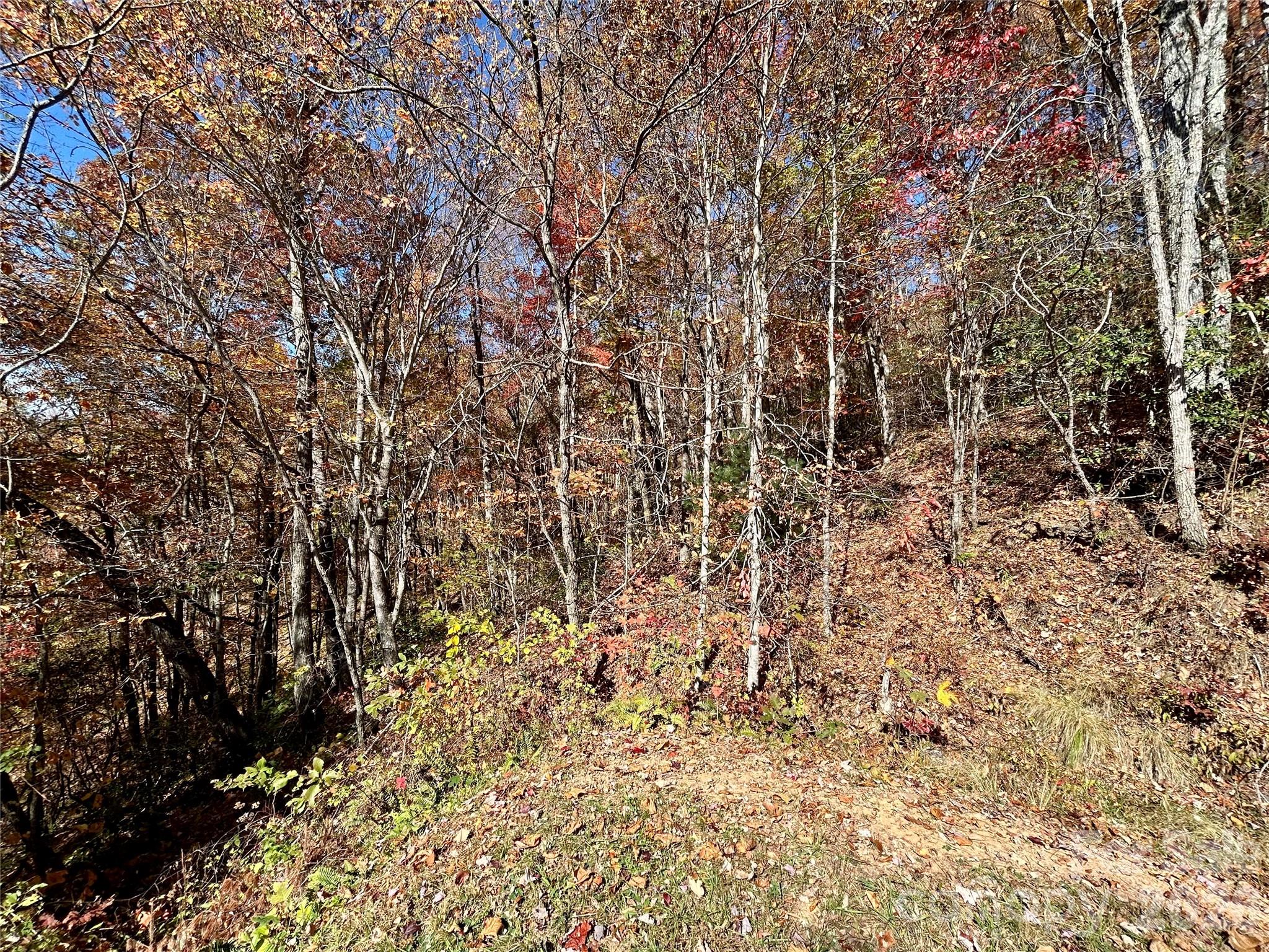 0 Grizzly Ridge 57 Property Photo 3