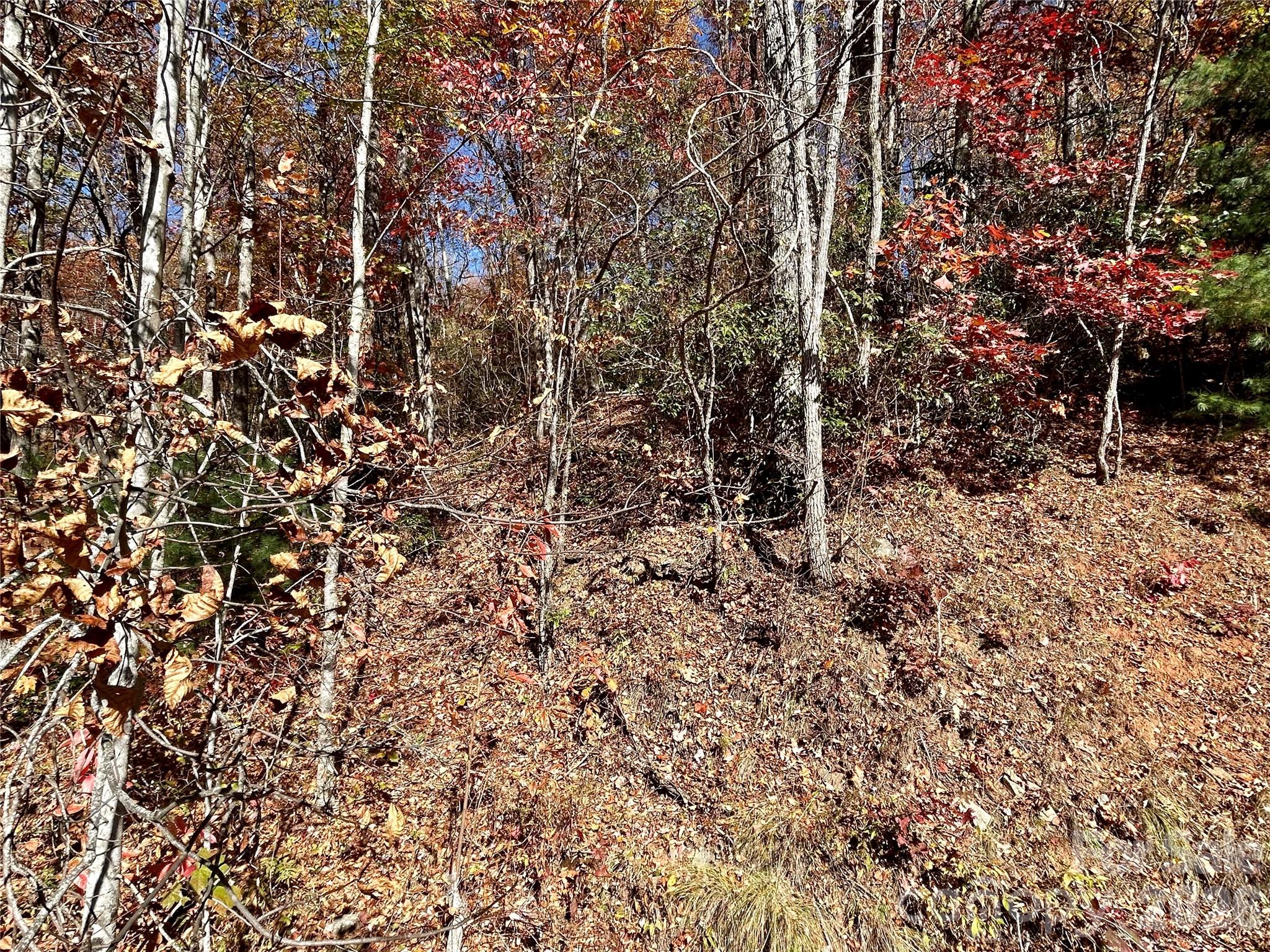 0 Grizzly Ridge 57 Property Photo 4