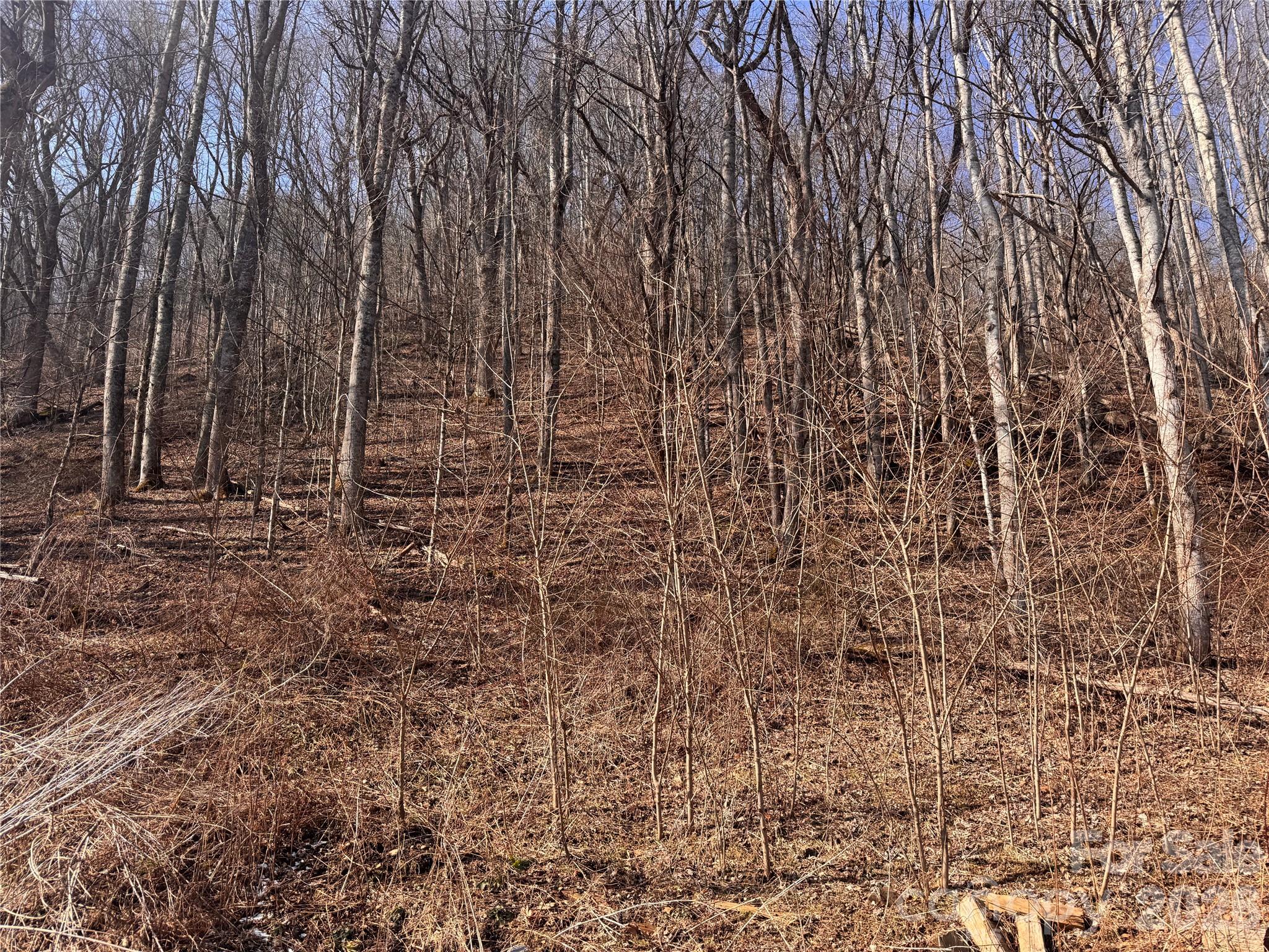 00 S Us 19 Highway Property Photo 9