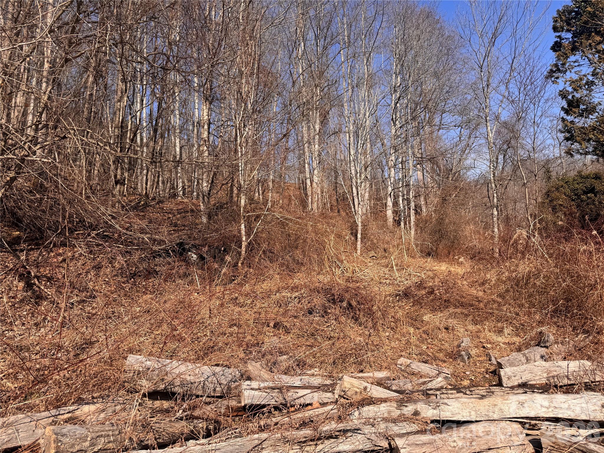 00 S Us 19 Highway Property Photo 10