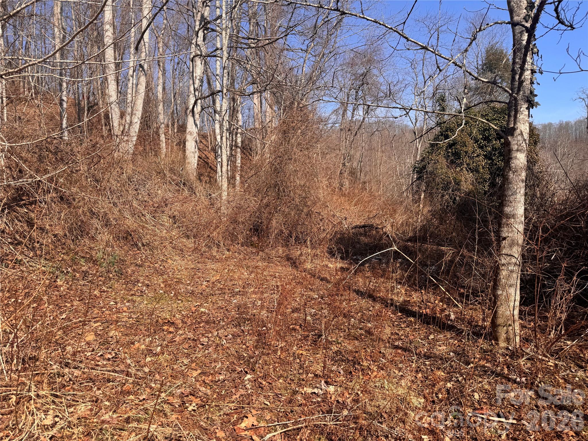00 S Us 19 Highway Property Photo 12