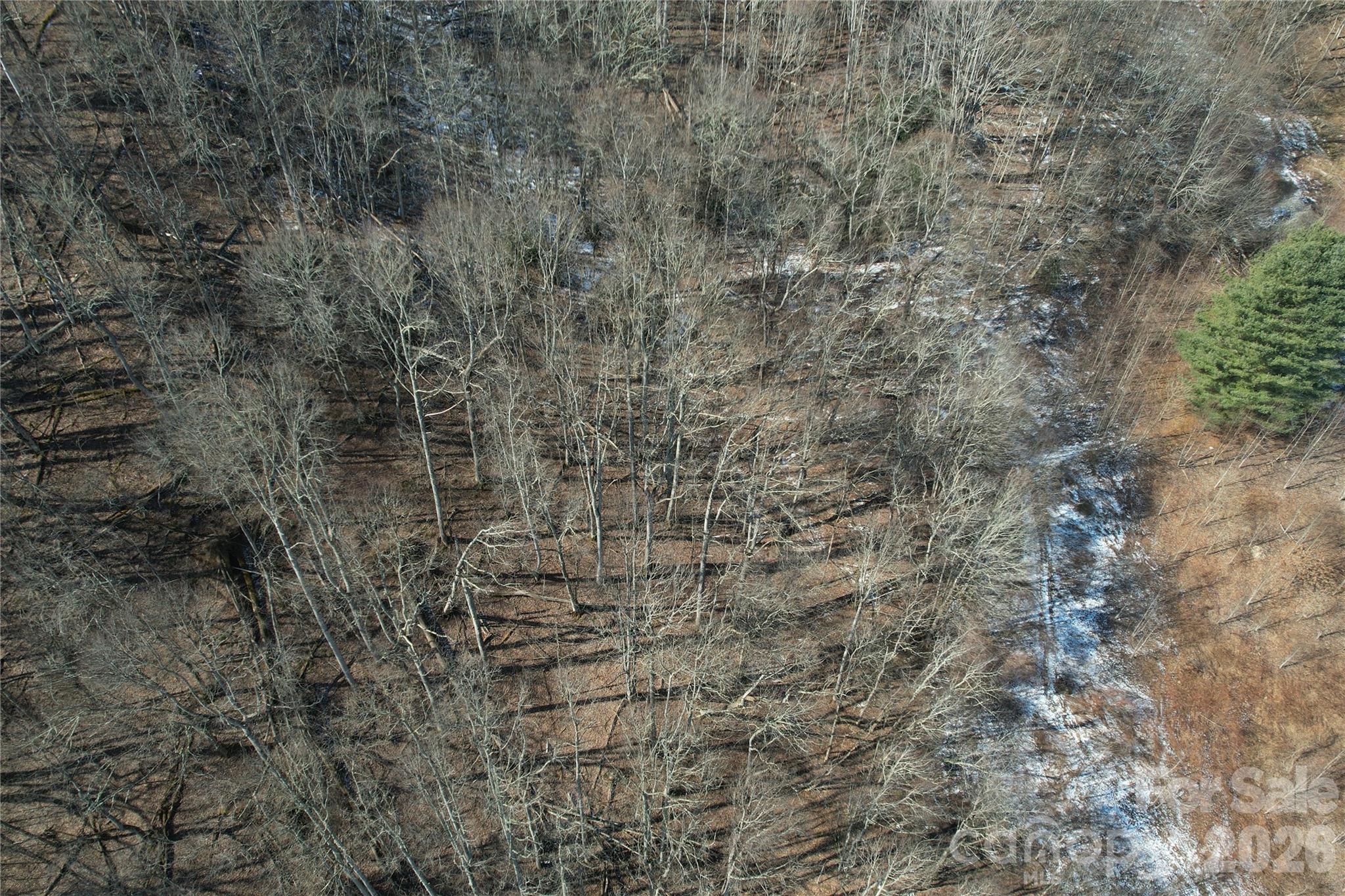 00 S Us 19 Highway Property Photo 22