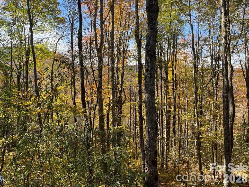 000 Shadyside Drive 8 Property Photo 11