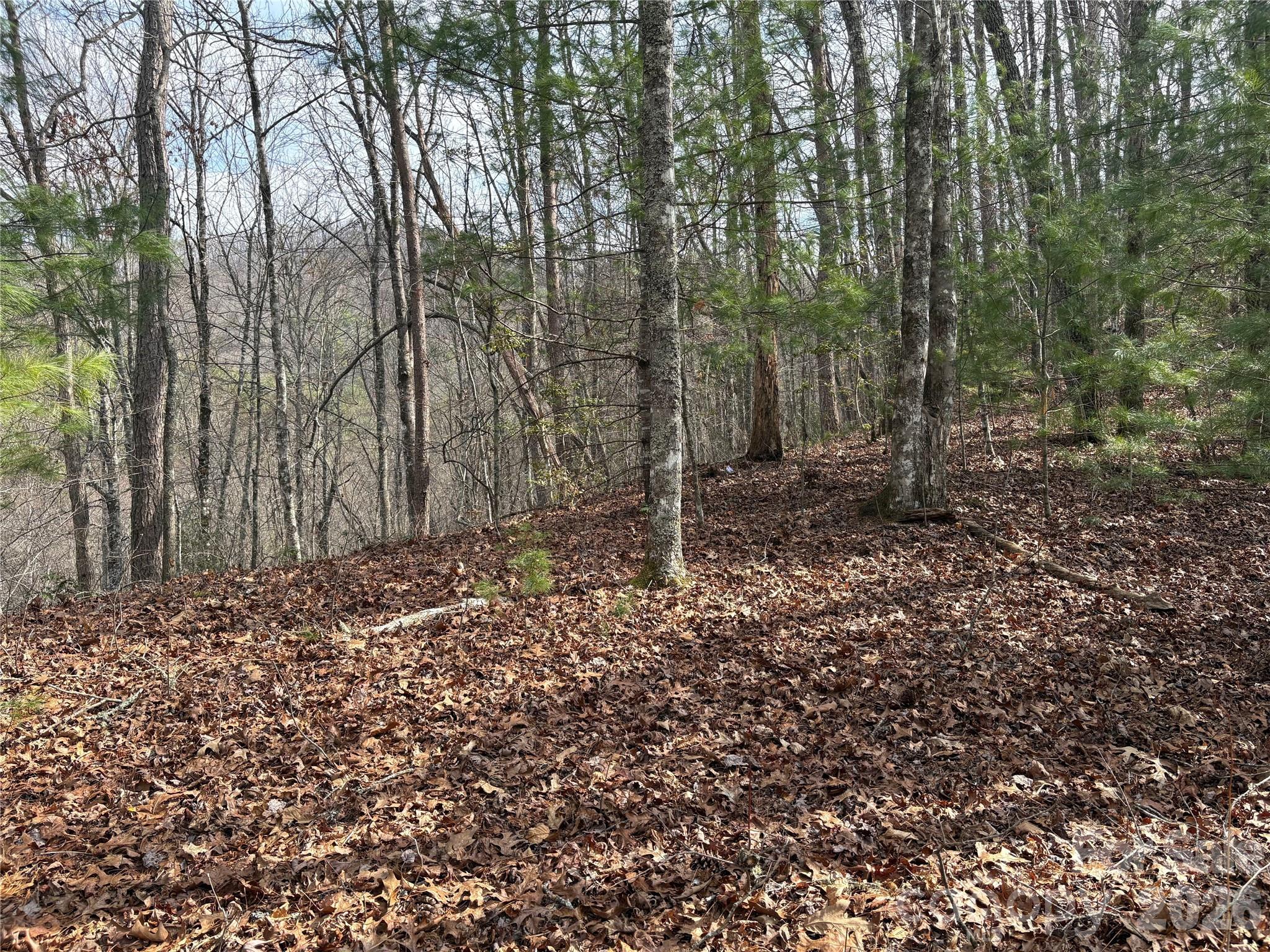 00 Round Hill Road 14 Property Photo 1