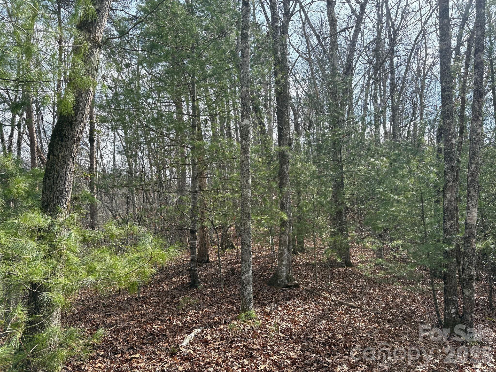 00 Round Hill Road 14 Property Photo 3