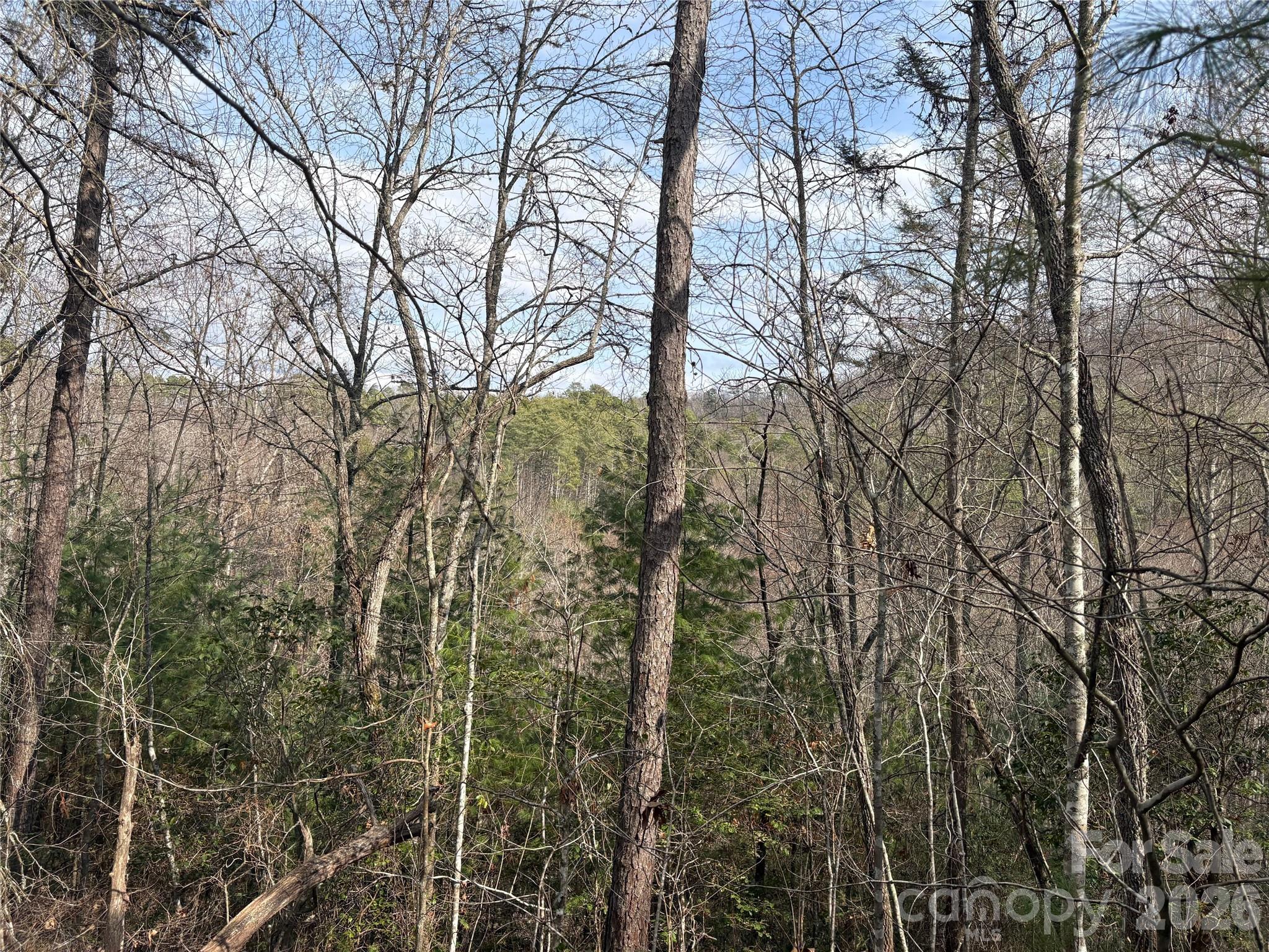 00 Round Hill Road 14 Property Photo 4
