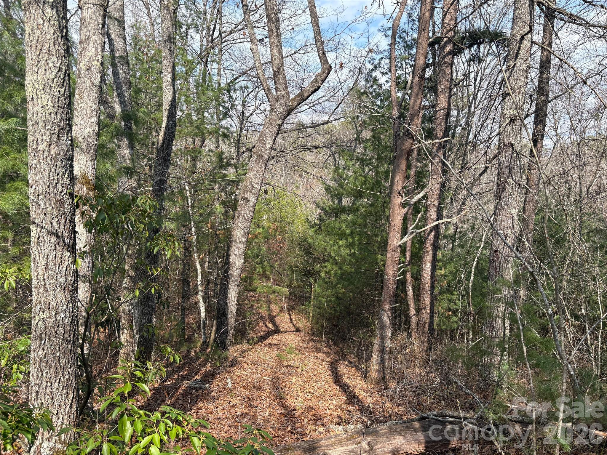 00 Round Hill Road 14 Property Photo 13